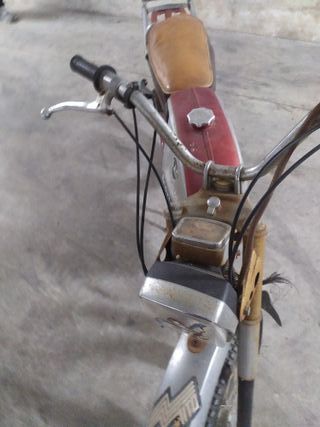 Mobylette Campera Clásica