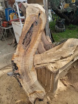 Tavole in legno di ulivo grezzo