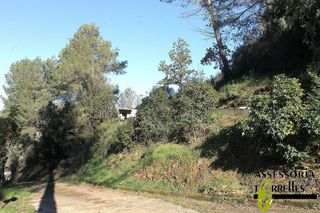 Chalet en venta en Torrelles de Llobregat