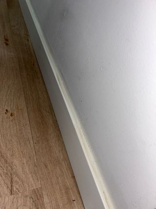 Expertos en limpieza, espacios impecables.