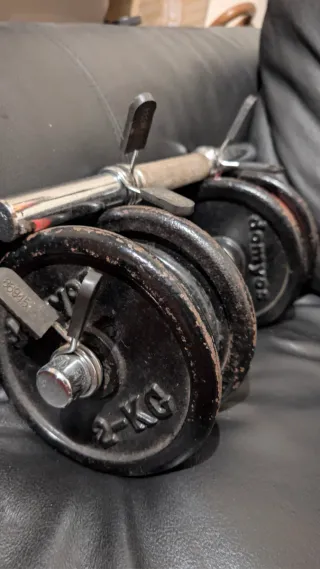 Manubri regolabili con dischi