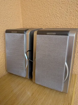 Minicadena Plata y Negra