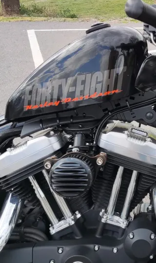 Filtro Aire Harley Davidson Forty-Eight