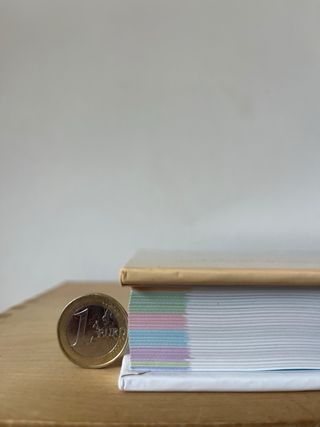 Libro TU BEBÉ DÍA A DÍA, por Ilona Bendefy