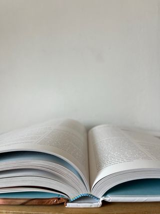 Libro TU BEBÉ DÍA A DÍA, por Ilona Bendefy