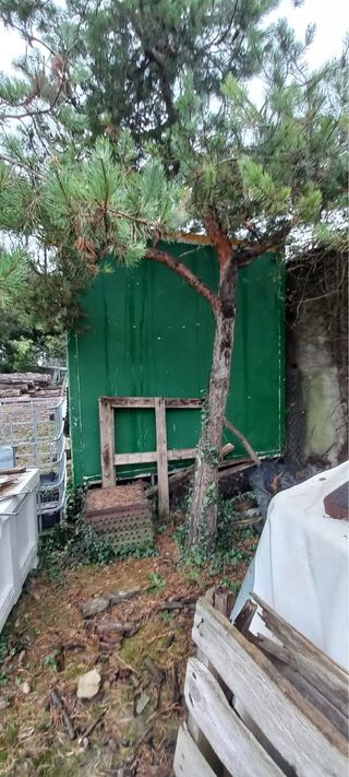 Caja de camión frigorífica