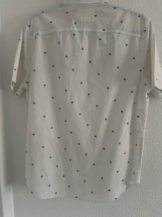 Camisa blanca Hollister manga corta (M)