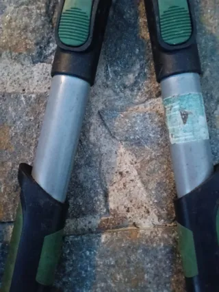 Tijeras de podar setos