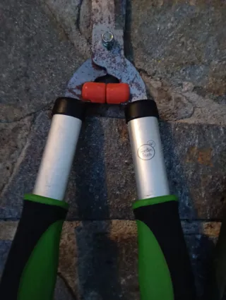 Tijeras de podar setos