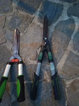 Tijeras de podar setos