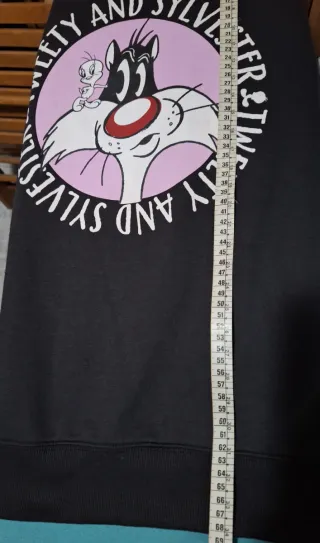 Sudadera Looney , gris oscuro casi negro. Unisex.