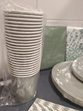 Vajilla Fiesta Verde 121 Piezas (24 Invitados)