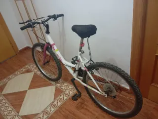 Bicicleta 24 Denbike
