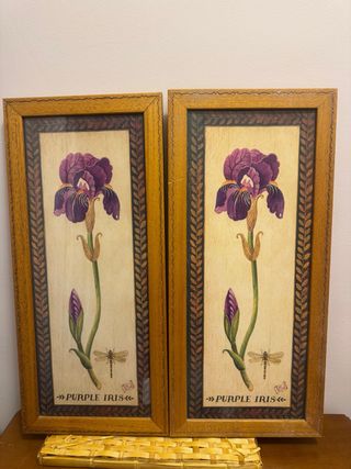 Pareja de cuadros vintage botánicos 55x25