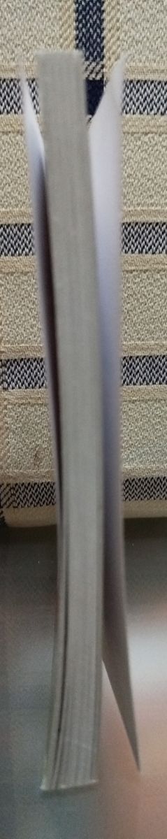 Las novelas ejemplares de Cervantes (Biblioteca Escolar, en rústica)