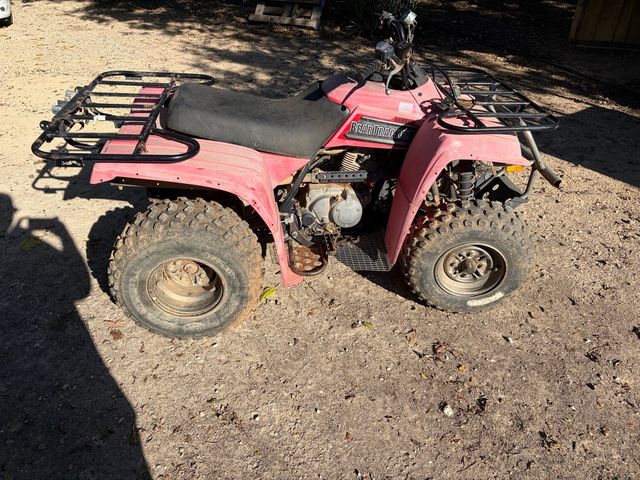 QUAD / ATV Yamaha Bear Tracker 250