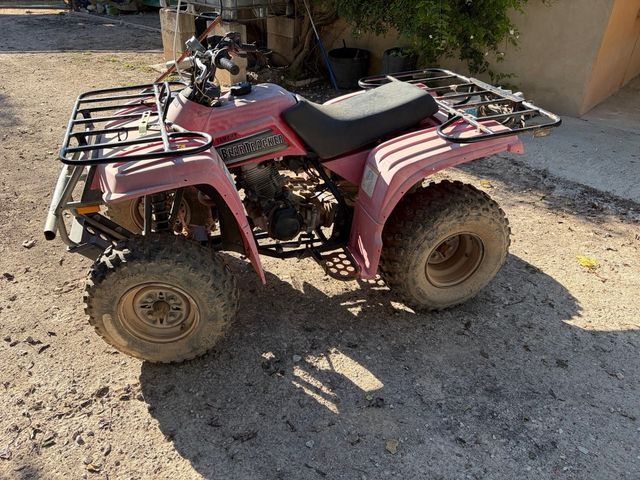 QUAD / ATV Yamaha Bear Tracker 250