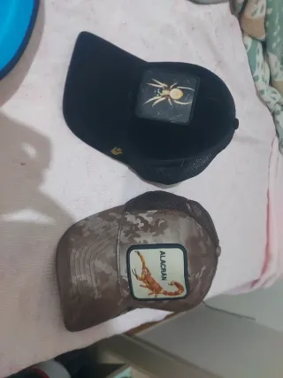 Gorras de Animales
