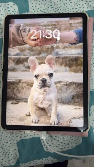 iPad Air 4ª Generación