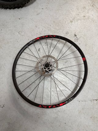 Rueda trasera 29 con disco