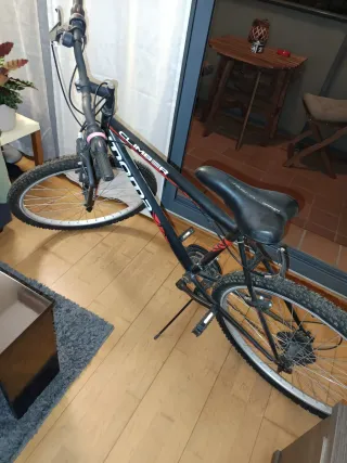 Bicicleta de Montaña Negra