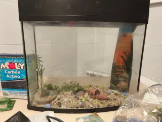 Acuario CURVADO en el Frontal 15L Negro y Transpar