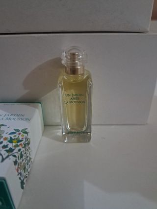 Miniatura Un Jardín Après La Mousson Hermès