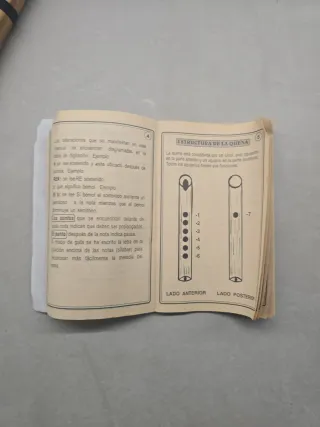 Flauta Quena Peruana con funda y libro