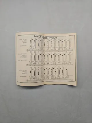 Flauta Quena Peruana con funda y libro