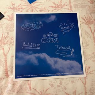 Vinilo BSO Las Vírgenes Suicidas RSD