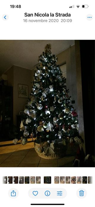 Albero di Natale 240x180 cm