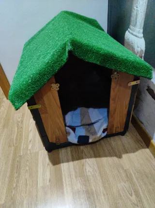 Caseta para perro con techo verde