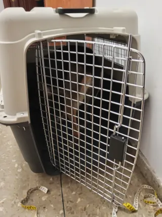 Transportín Perro Grande Beige