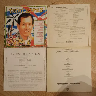 Lote 8 Vinilos de varios géneros en español