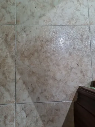 Busco estas baldosas, aunque sean 3 de 41×41