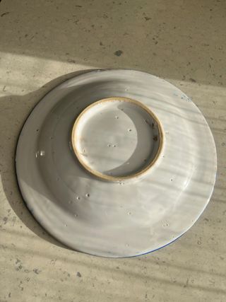 Plato decorativo azul y blanco