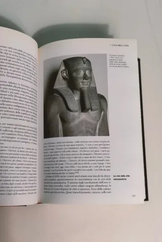 La storia-Dalla preistoia all'antico Egitto.Vol. 1