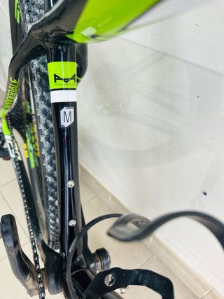Cannondale F-Si Lefty