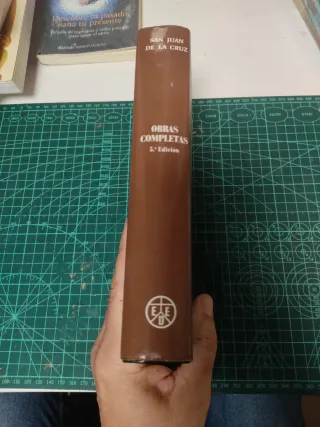 Obras completas (Edicion critica de Jose Vicent...