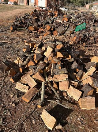 Leña de almendro para chimenea