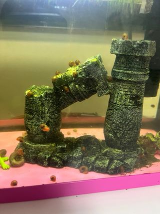 Pecera rosa con accesorios