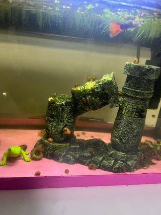 Pecera rosa con accesorios