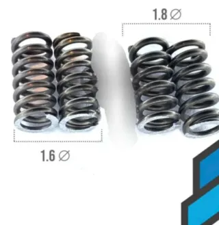 Muelles Polini Minimoto 910 RS