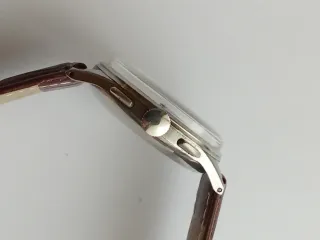 Reloj Chronographe Suisse Marrón/Plata