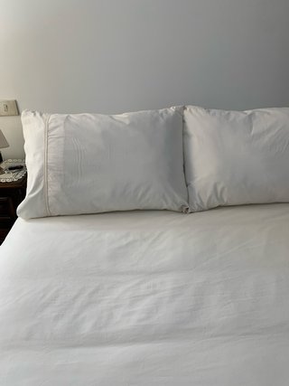 Dos almohadas de 50x75. algodón 100%