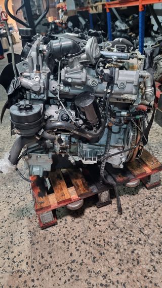 Motor Iveco Daily 3.0 F1CE3481K