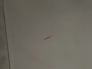 Monitor LG Ultrawide 25UM58-P