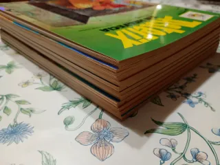 Las aventuras de Astérix