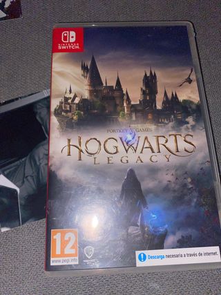 Hogwarts Legacy Nintendo Switch
