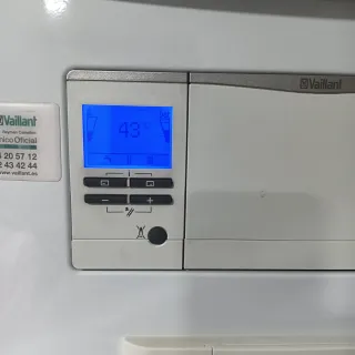 Caldera Vaillant Ecoplus 30k.c Impecable